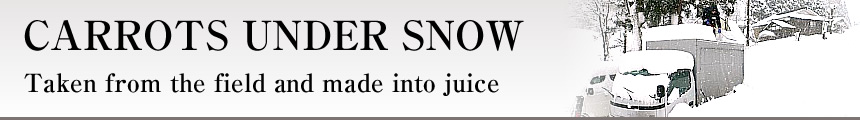 CARROTS UNDER SNOW Taken from the field and made into juice